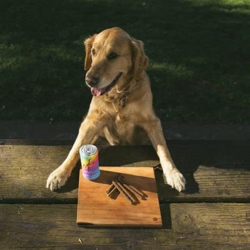 Juguete Chirriante Zippypaws: Divertido Y Resistente Canino