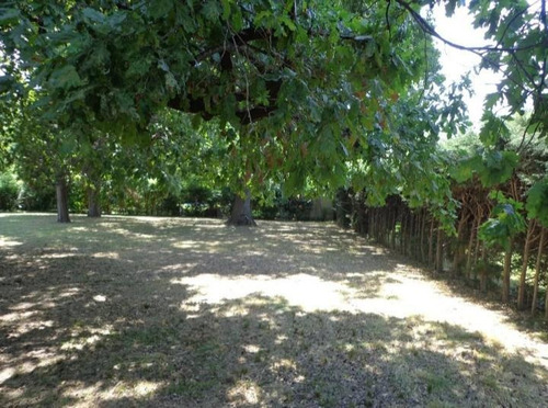 Imagen 10 de 12 de Terreno - Ricardo Rojas