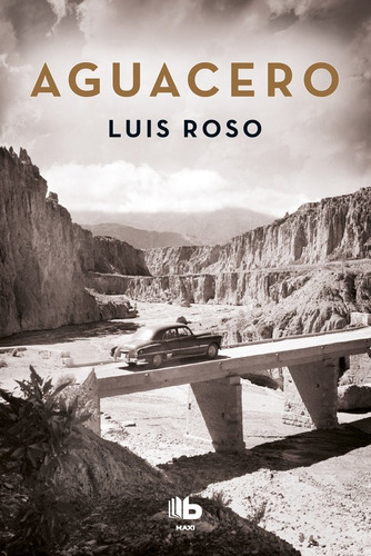 Aguacero (inspector Trevejo 1), De Roso, Luis. Editorial B De Bolsillo (ediciones B), Tapa Blanda En Español