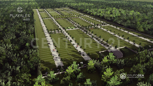 Imagen 2 de 30 de Proyecto De Lotes Residenciales En Telchac Puerto, Yucatán