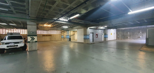 Oficina Deposito Venta Con Financiamiento Boleita Norte 134 Mts2 + Terraza Sonmetros2