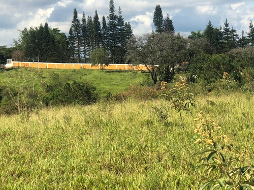 Imagem 1 de 1 de Sem Burocracia - Terreno Em Mairinque/mato Dentro