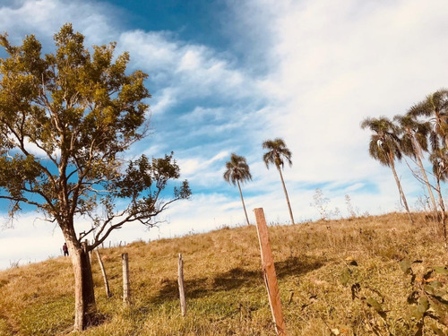 Imagem 12 de 30 de L12 Garanta 1000m² Em Santa Isabel Lotes Perto Da Natureza