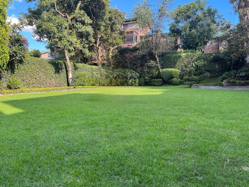 Jardín En Paseos Del Pedregal