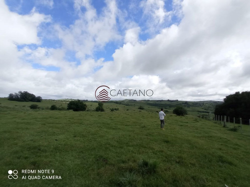 Imagen 22 de 25 de Venta De Campo, Maldonado.campo De 41 Hectáreas, Próximo A Pueblo Edén - Pueblo Eden