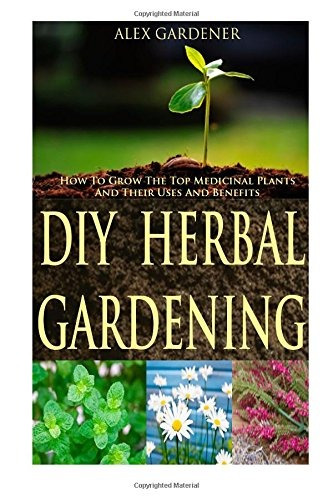 Diy Herbal Gardening How To Grow The Top Medicinal Plants An