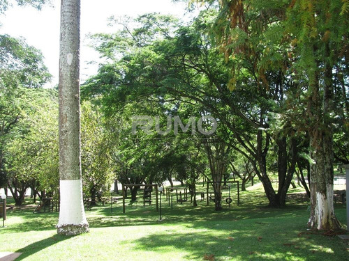 Imagem 27 de 29 de Chácara À Venda Em Sousas - Ch003874