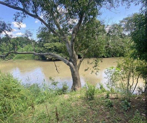 Terreno En Venta En Juan De Alfaro Medellin De Bravo, Veracruz.