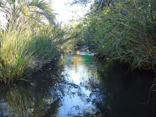 Imagen 10 de 18 de Campo 96 Has En Carape Cuenta Con Costa De Arroyo. - Ref : Eqp2775