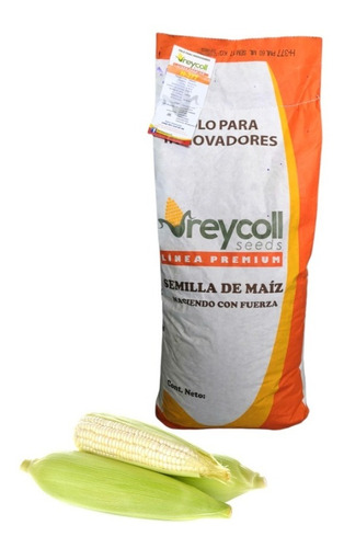 Maiz H-377 Semilla Elotero Cuatero Y De Grano Hibrido 2kg