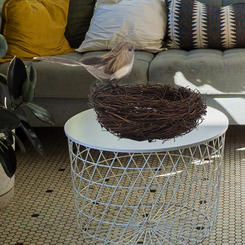 Naturaleza Nido De Pájaro Artificial Con Huevos Jaula Gris