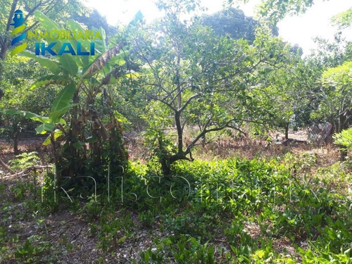 Imagen 5 de 8 de Terreno En Venta Juana Moza