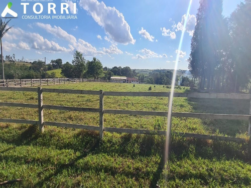 Belo Haras À Venda Em Porto Feliz - Ha00013 - 69329721