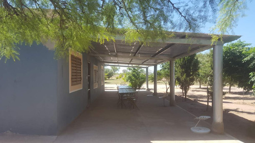 Campo En Venta Villa Quilino - Campo Ganadero Con 2 Casas