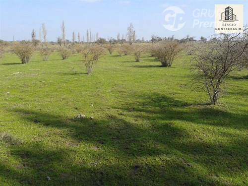 Agrícola En Venta En Retiro