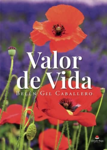 Libro Valor De Vida De Belén Gil Caballero