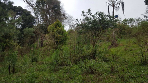 Chácara A Venda No Bairro Miringuava Em São José Dos - 5663-1