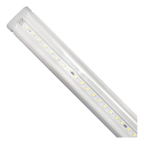 Tubo Led Luminario T8 12w Luz Dia Tianlai Con Base 57cm 10pz Estructura Blanco