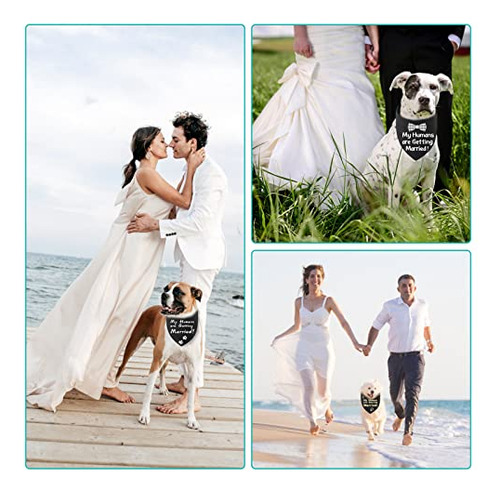 Pañuelos En Blanco Para Perros Gofshy Con Sublimación, Para