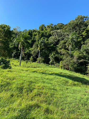 Te Vendo Excelente Finca En Cupey/puerto Plata.