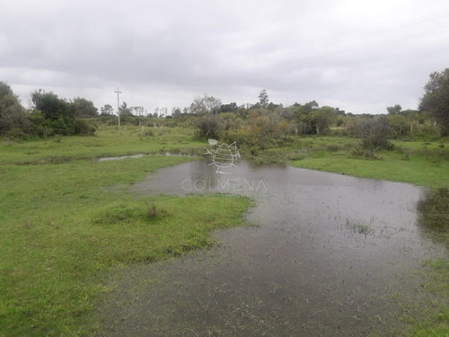 Imagen 6 de 16 de Campo De 5 Has Con 5891 M2 - San Carlos