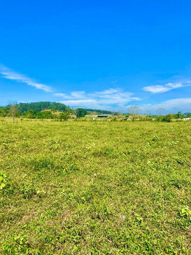 Imagem 3 de 5 de W30-lotes Para Construção De Sítios
