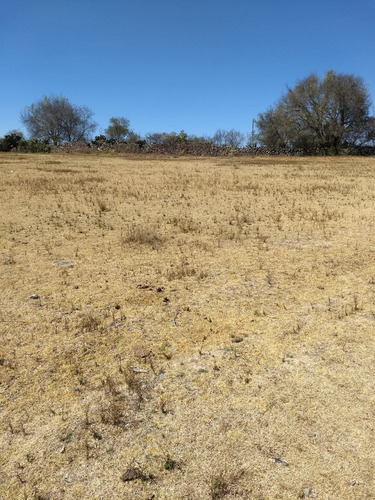 Imagen 2 de 10 de Terreno En Polotitlán, Encinillas, Escriturado Con Servicios
