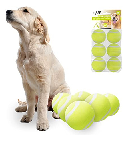 Lanzador Automático De Pelotas Para Perros