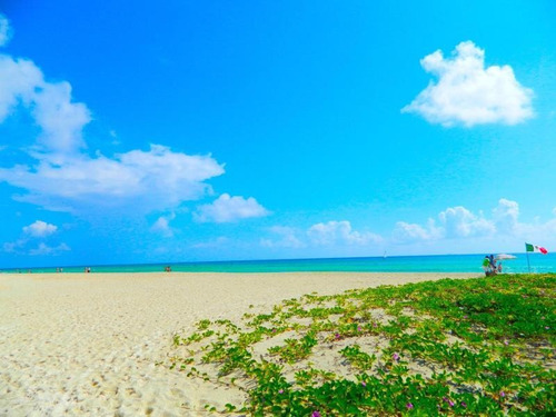 Imagen 8 de 12 de Terreno En Venta Playa Car Fase I