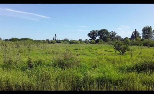 Venta Lote 2.834 M2 Sobre Ruta 2. Chascomús