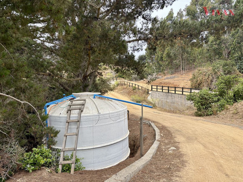 Sitio 647m2 En Cerro, En Venta En Pichilemu Punta De Lobos