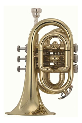 Trompeta Wesner C/estuche Mod. Ptp2000-l