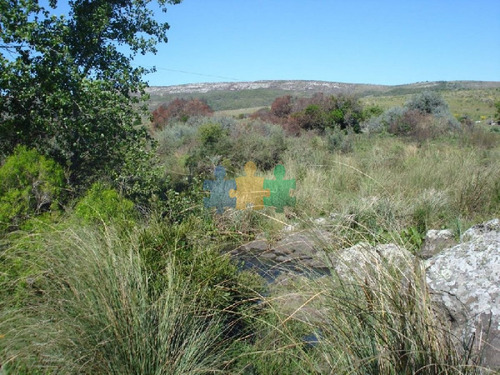 Imagen 7 de 18 de Campo 96 Has En Carape Cuenta Con Costa De Arroyo. - Ref : Eqp2775