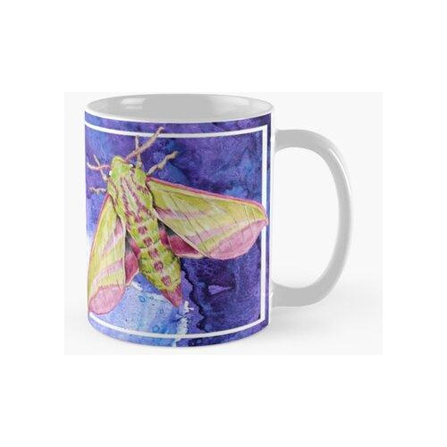 Taza Taza Pink Elephant Hawk Moth Calidad Premium