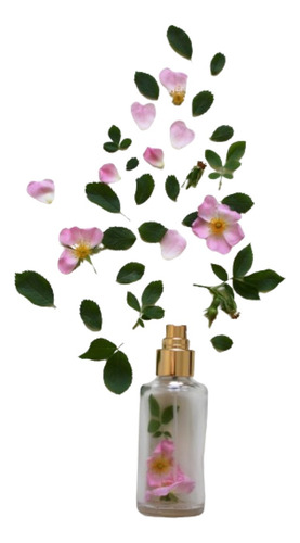 4 Esencias De 250ml Para Perfumería Y Aromaterapia Difusor