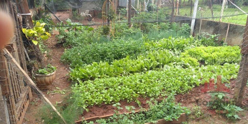 Chácara Com 2 Dormitórios À Venda, 3000 M² Por R$ 500.000,00 - Chácaras De Recreio Represa - Nova Odessa/sp - Ch0142