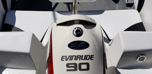 Imagen 1 de 14 de Motor Evinrude E-tec 90 Hp Ecol 5 Años De Garantia Oficial 1