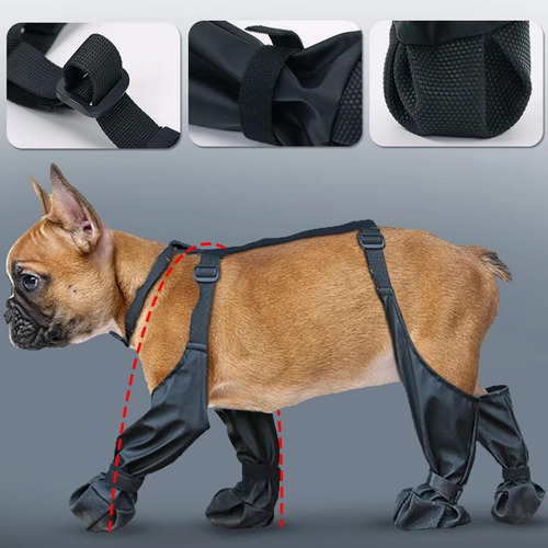 Protector De Patas Para Mascotas Con Correa Auxiliar Perros