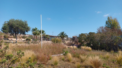 Lote 5.013 Mt Condominio Altos De Tongoy Comuna De Coquimbo