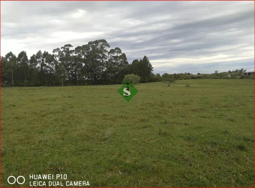 Imagen 4 de 7 de Venta De Chacra En Montevideo, 3,5 Hectareas En Melilla