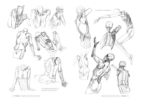 Anatomia artística 3: O esqueleto: marcadores ósseos, de Lauricella, Michel. Editorial Editora Gustavo Gili em português, 2019