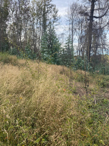 Vendo Parcela 1 Ha A 4,5 Km Peaje Lateral Rafael Oriente