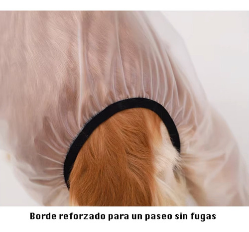Chubasquero Transparente For Perros Grandes Capucha Y C