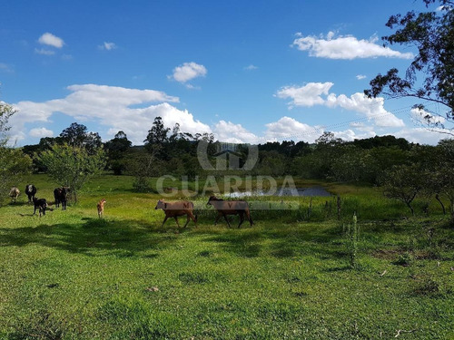 Imagem 2 de 15 de Area - Poco Fundo - Ref: 138187 - V-138187