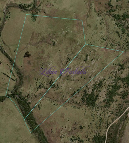 Imagen 16 de 18 de Campo 98 Has Con 2891 M2 En Carape Cuenta Con Costa De Arroyo.