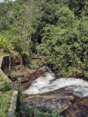 Imagem 7 de 12 de Terreno Em Miracatu-sp Medindo 8 Alqueires Com Cachoeira