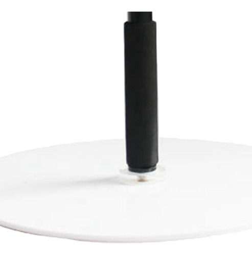 Bird Perch Parrot Training Playstand Con Base De Ejercicio