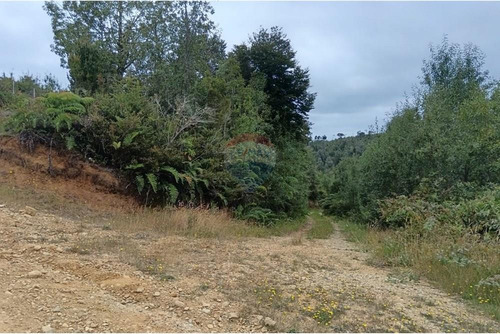 Parcela Con Acceso A Río Y Rol Propio