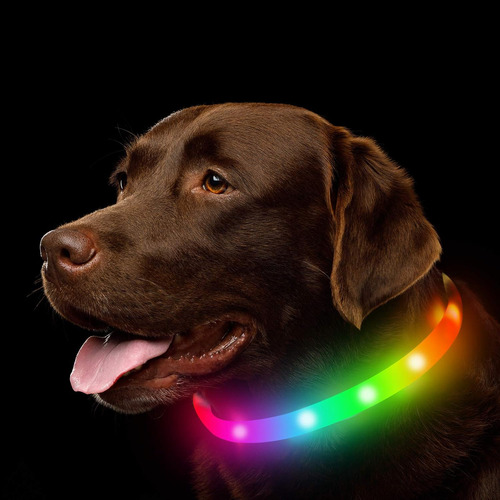 Collar Led Para Perro, Recargable Rgb Que Cambia De Color, L