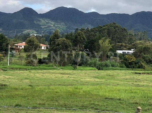 Se Vende Lote Entre San Antonio De Pereira Y  La Ceja  - Antioquia